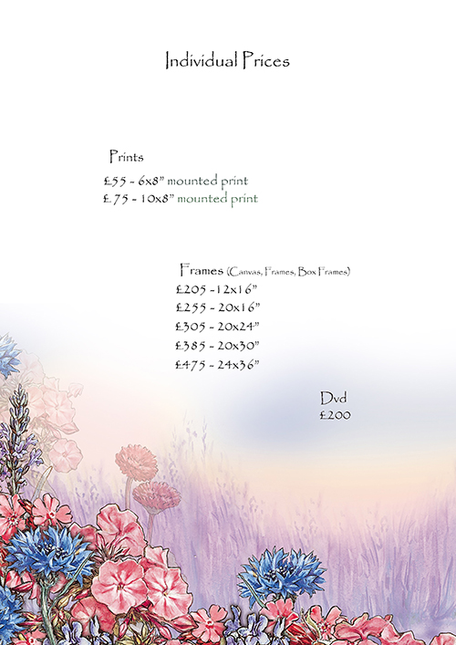 Individual Fairytale Prices